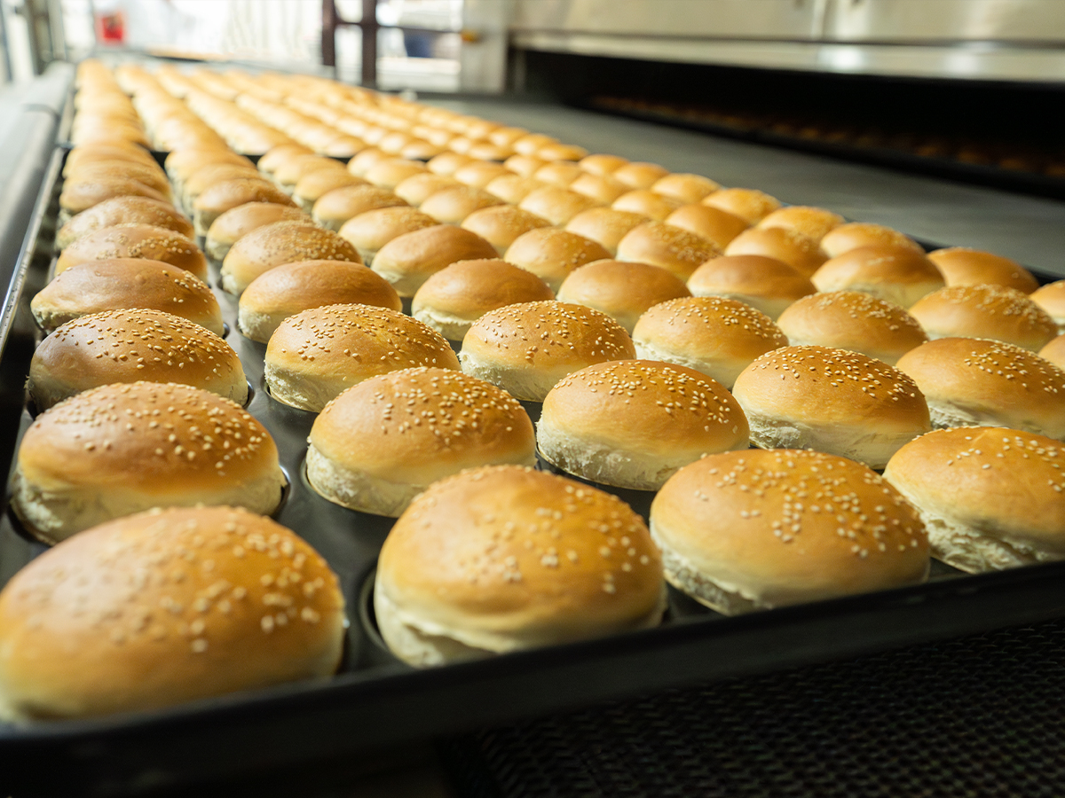 Bun Production Line